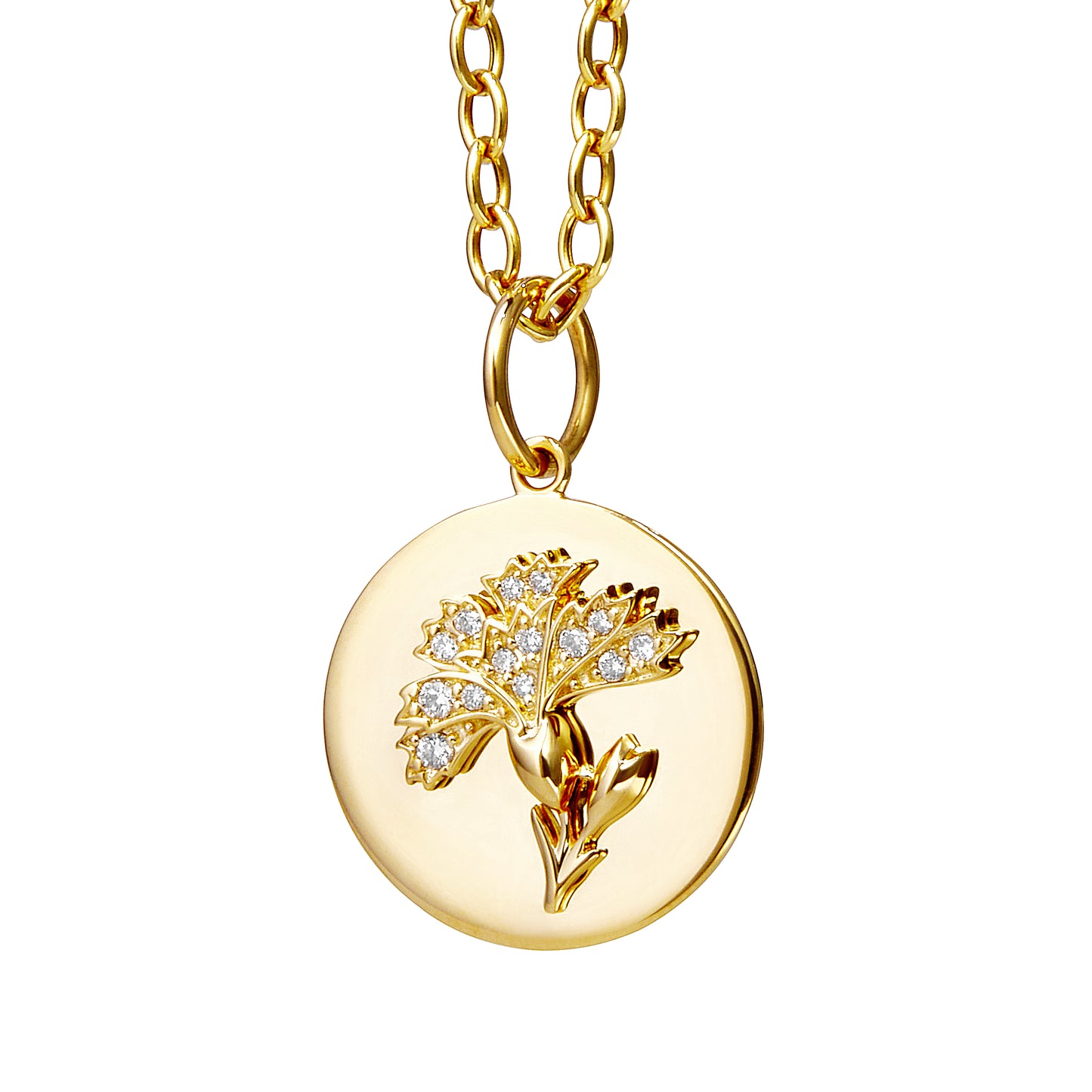 Jewelry Photography (SYNA)