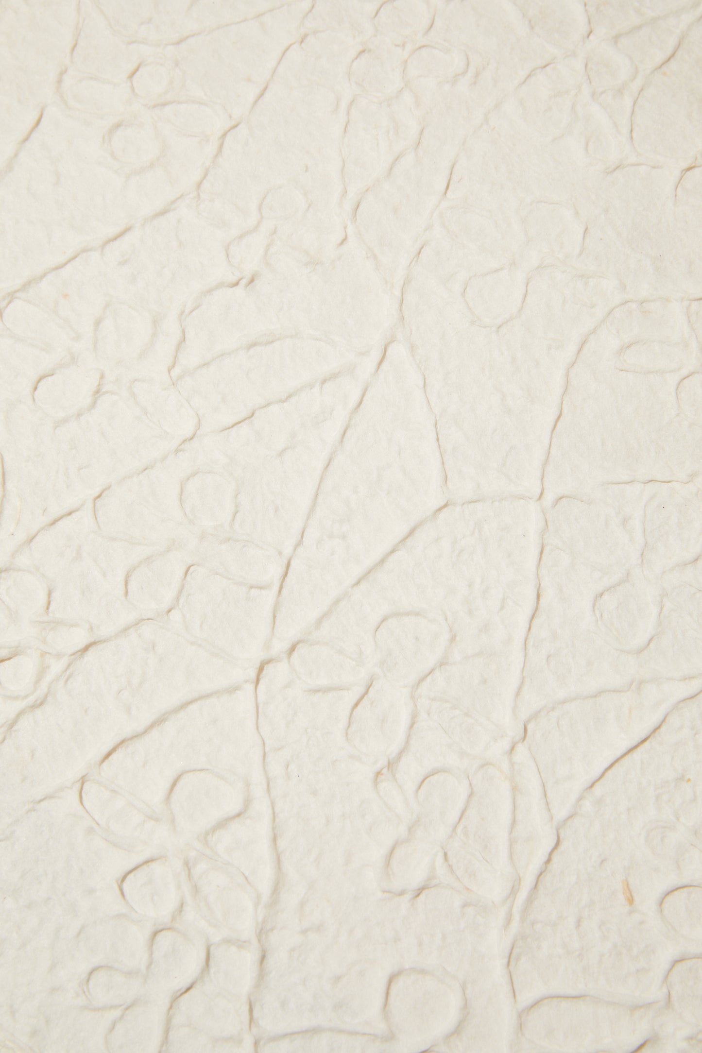 Embossed Floral paper