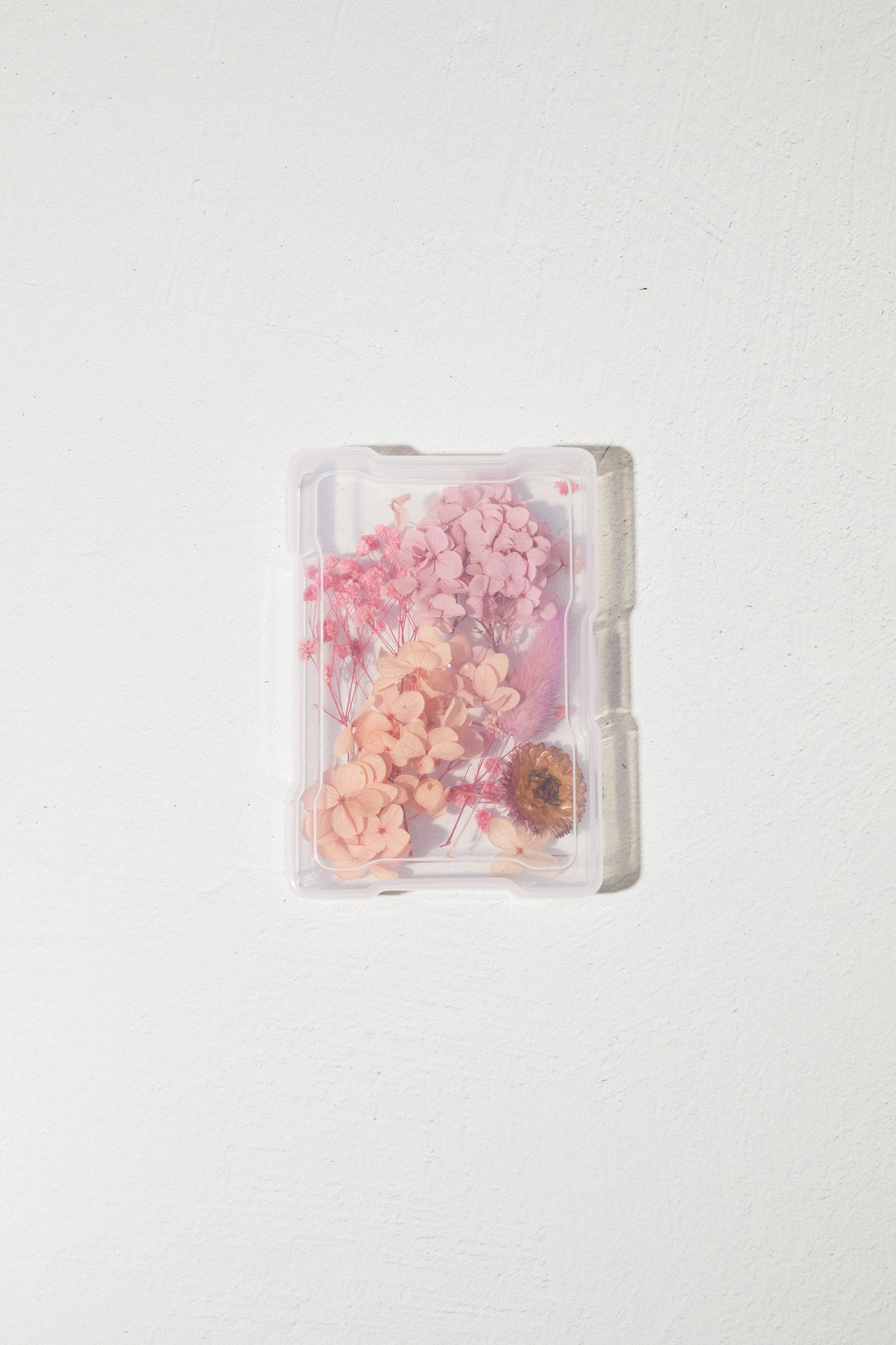 Dried Flower - Pink