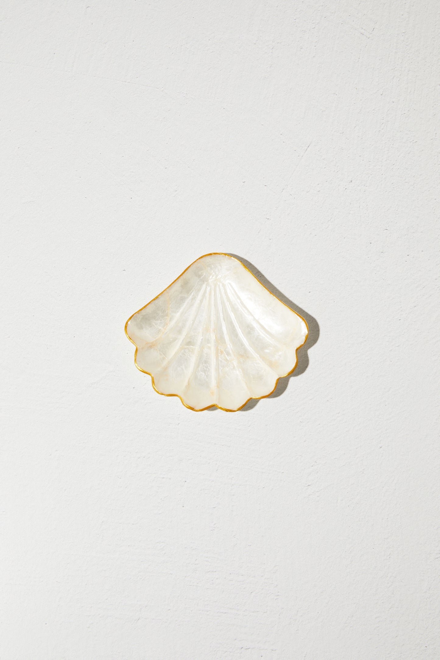 Shell dish
