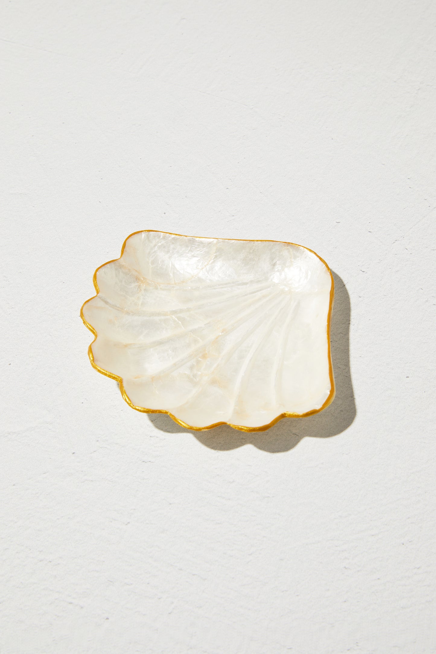 Shell dish