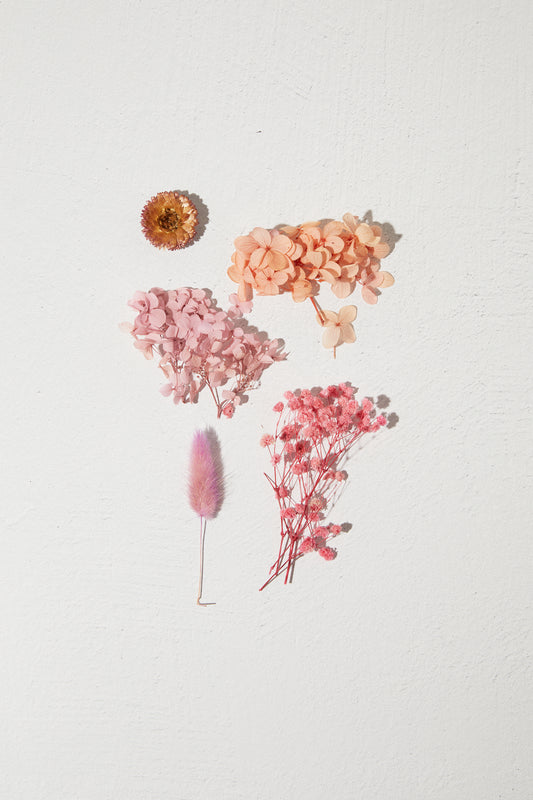 Dried Flower - Pink