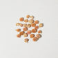 Dried Flower Rounded - Pink