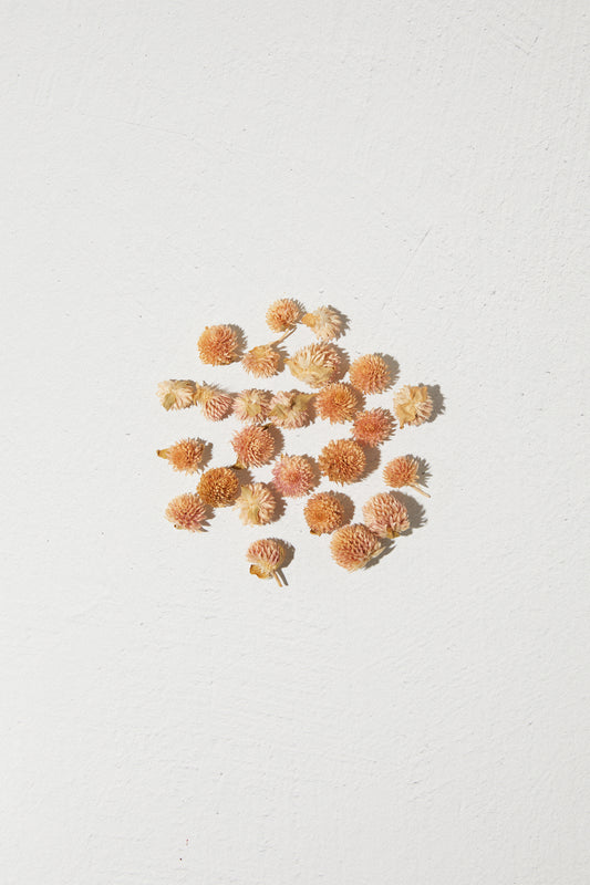 Dried Flower Rounded - Pink