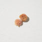 Dried Flower Rounded - Pink