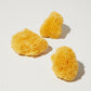 Sea Sponge - Small
