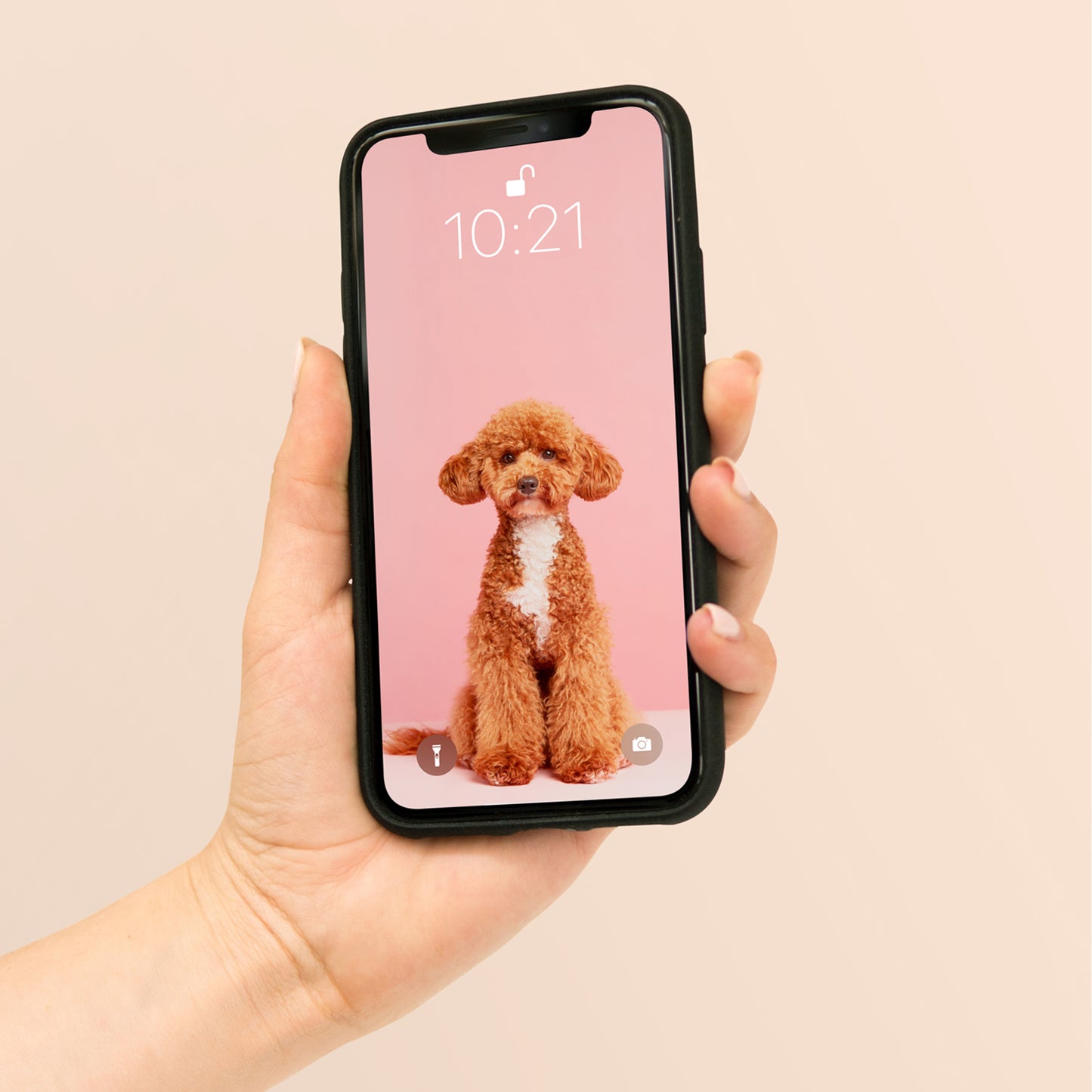 Four Legged Friend - Plain